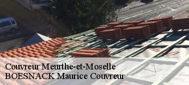 BOESNACK Maurice Couvreur pour s’occuper vos travaux de couverture Meurthe-et-Moselle