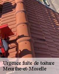Entreprise urgence fuite de toiture : Marc B Couverture