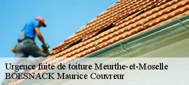 Notre entreprise BOESNACK Maurice Couvreur pour vos fuites de toiture Meurthe-et-Moselle