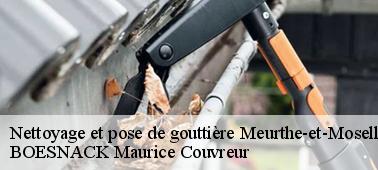 Remettez le changement de votre gouttière Meurthe-et-Moselle à BOESNACK Maurice Couvreur