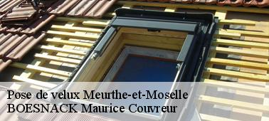 Faites appel à BOESNACK Maurice Couvreur pour vos poses de velux Meurthe-et-Moselle à BOESNACK Maurice Couvreur