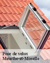 Demander vos devis de pose de fenêtre de toit à un couvreur pose de velux fiable dans le 54 