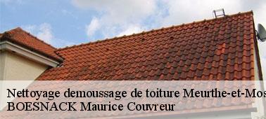 BOESNACK Maurice Couvreur : entreprise nettoyage et démoussage toiture