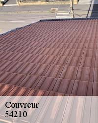 BOESNACK Maurice Couvreur pour s’occuper vos travaux de couverture 54210