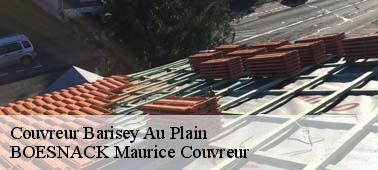 BOESNACK Maurice Couvreur votre couvreur zingueur à Barisey Au Plain