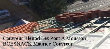 BOESNACK Maurice Couvreur votre couvreur zingueur à Blenod Les Pont A Mousson