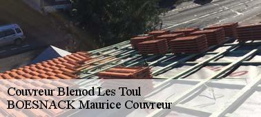 Pose de toiture avec BOESNACK Maurice Couvreur