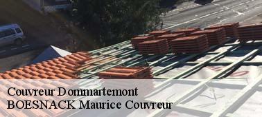 BOESNACK Maurice Couvreur pour s’occuper vos travaux de couverture 54130