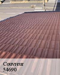 BOESNACK Maurice Couvreur pour réparer votre toiture 54770