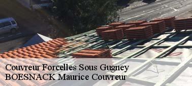 BOESNACK Maurice Couvreur pour des travaux fiables