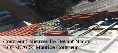 BOESNACK Maurice Couvreur pour des travaux fiables