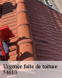 BOESNACK Maurice Couvreur pour vos bâchages de toiture 54610
