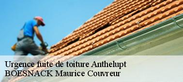 Une réparation d’urgence fuite de toiture rapide à Anthelupt 