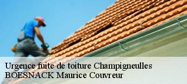 Entreprise urgence fuite de toiture : BOESNACK Maurice Couvreur