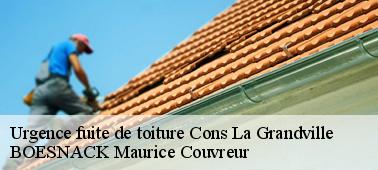BOESNACK Maurice Couvreur pour des interventions toiture 54870 efficace
