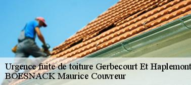 Entreprise urgence fuite de toiture : BOESNACK Maurice Couvreur