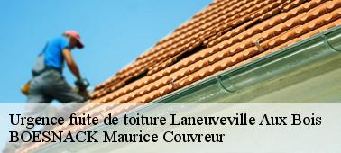 Pourquoi faire appel à BOESNACK Maurice Couvreur pour vos urgences fuite de toiture ?