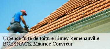 BOESNACK Maurice Couvreur votre professionnel en réparation toiture à Limey Remenauville 