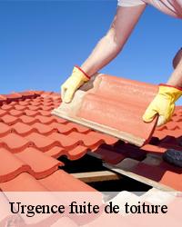 Mettez la réparation de votre toiture entre les mains des professionnels à Saint Remy Aux Bois 