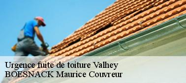 Une intervention rapide en cas de fuite de toiture à Valhey