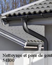 BOESNACK Maurice Couvreur pour l’installation de vos gouttières 54800