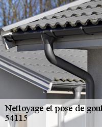 Tarifs nettoyage gouttières chez BOESNACK Maurice Couvreur