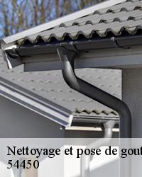 Le bien fait du nettoyage des gouttières à Ancerviller 