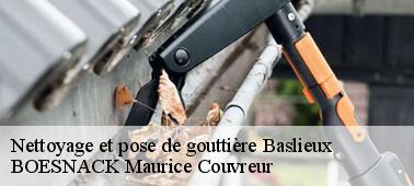 Assurer le nettoyage et pose de gouttière à Baslieux 