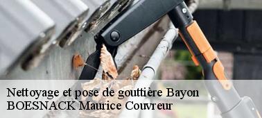 Faites protéger votre gouttière Bayon par BOESNACK Maurice Couvreur