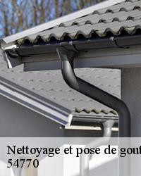 Nos couvreurs zingueurs pour installer vos gouttières 54770