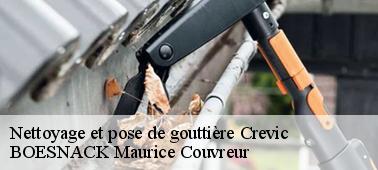 Remettez le changement de votre gouttière 54110 à BOESNACK Maurice Couvreur
