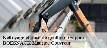 Faites remplacer votre gouttière 54290 par BOESNACK Maurice Couvreur