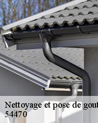 Demandez une devis nettoyage et pose de gouttière à Lironville
