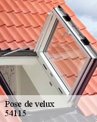 Faites appel à BOESNACK Maurice Couvreur pour vos poses de velux 54115 à BOESNACK Maurice Couvreur