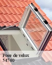 BOESNACK Maurice Couvreur pour une pose de velux à Affracourt