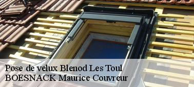 BOESNACK Maurice Couvreur un professionnel en travaux de velux à Blenod Les Toul