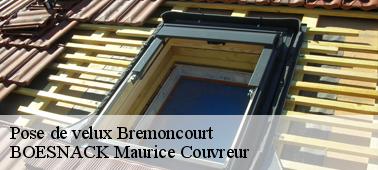 Garantir la pose de votre fenêtre de toit à Bremoncourt 