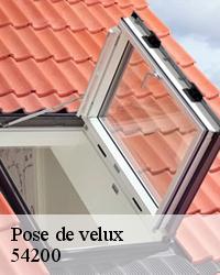 BOESNACK Maurice Couvreur pour une pose de velux à Bruley