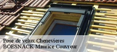 Le meilleur couvreur réparation et pose de velux à Chenevieres