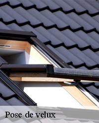 Garantir la pose de votre fenêtre de toit à Dommartin Les Toul 