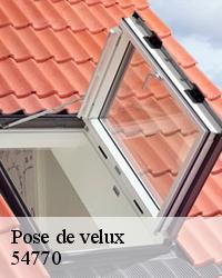 Faites réparer votre velux 54770 par BOESNACK Maurice Couvreur