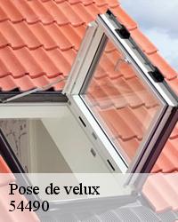 Garantir la pose de votre fenêtre de toit à Domprix 
