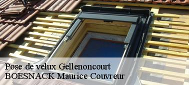 BOESNACK Maurice Couvreur un professionnel en travaux de velux à Gellenoncourt