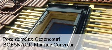 Entreprise pose de velux : BOESNACK Maurice Couvreur