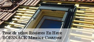 BOESNACK Maurice Couvreur pour une pose de velux à Rosieres En Haye