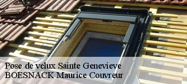 Garantir la pose de votre fenêtre de toit à Sainte Genevieve 