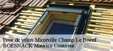 Réalisez la pose de votre velux avec une entreprise de pose de velux très réputé à Maxeville Champ Le Boeuf 