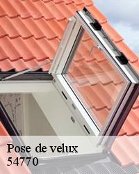 Garantir la pose de votre fenêtre de toit à Moulins 