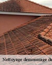 Bien nettoyer votre toit avec une entreprise de nettoyage et démoussage de toiture à Andilly 
