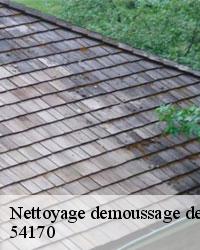 Bien nettoyer votre toit avec une entreprise de nettoyage et démoussage de toiture à Barisey Au Plain 